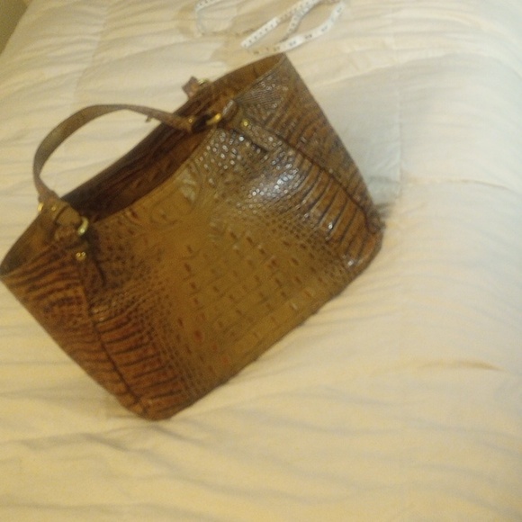 Brahmin - Picture 8 of 12